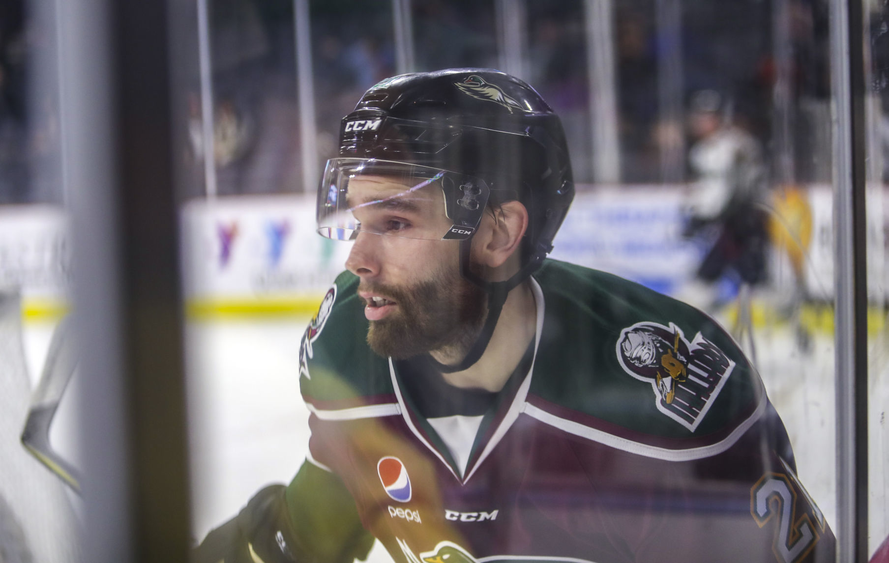 022818-UTAH-GRIZZLIES-QC-MALLARDS-017